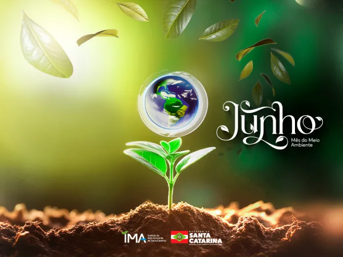 Junho: mês do Meio Ambiente terá programação especial em Santa Catarina