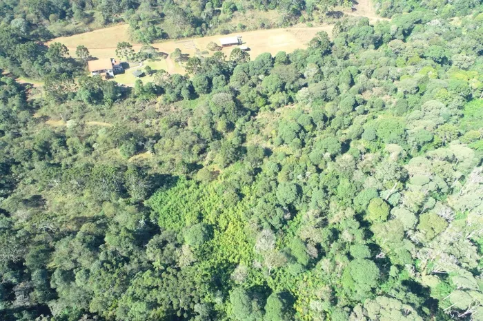 Parque Estadual das Araucárias comemora 21 anos de criação nesta quinta-feira