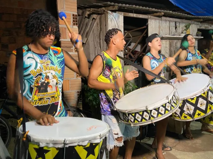Cultura: Boi Estrela Dalva levará combate a animais em risco de extinção para Arena Z-30
