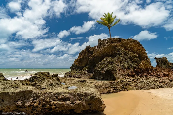 Foto: Reprodução/Secom Paraíba