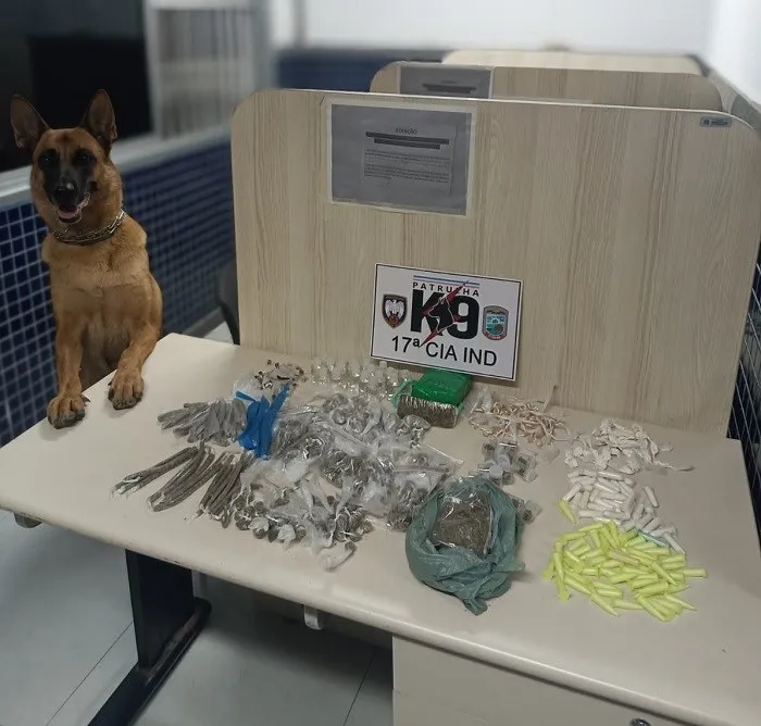 Foto: Reprodução/Polícia Militar - ES