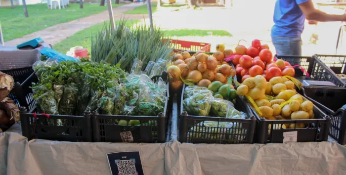 Crédito:Secom - VG - 