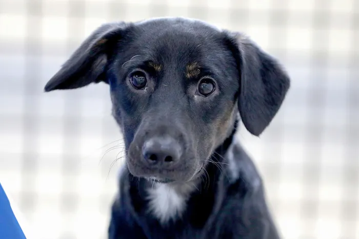 Foto: Paulo H. Carvalho/Agência Brasília