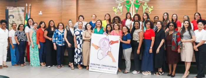 Foto: Reprodução/Secom Piauí