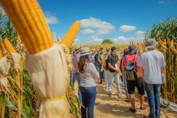 Inscrições abertas para a seleção do Mestrado em Agronomia