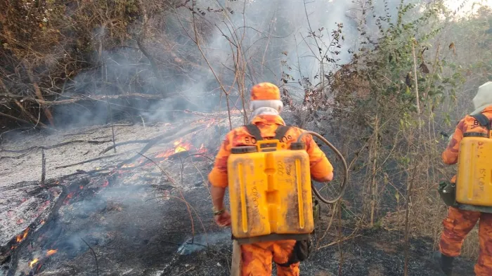 Corpo de Bombeiros participa de exposição na Feira do Meio Ambiente