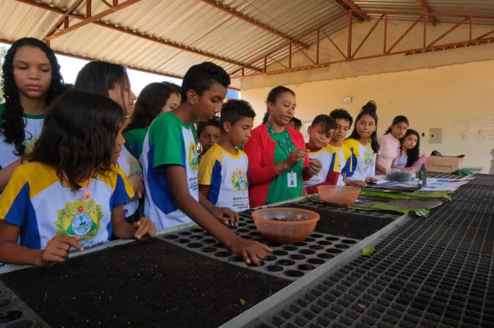 Governo leva estudantes moradores de unidade de conservação para vivência de cultivo de mudas no Viveiro da Floresta