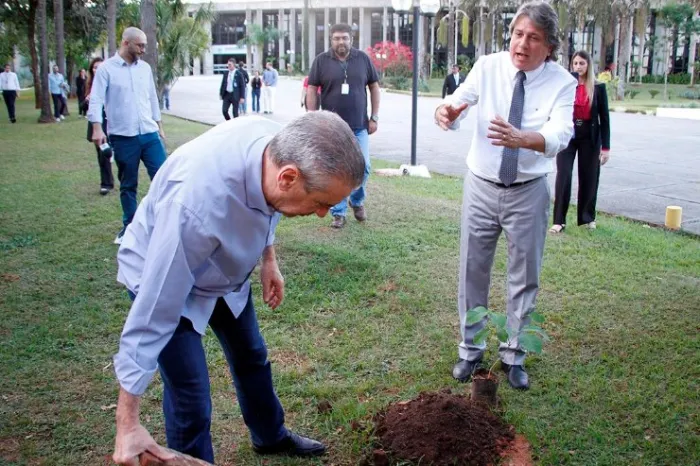 Dia do Meio Ambiente: Em gesto simbólico, deputados plantam mudas de ipês