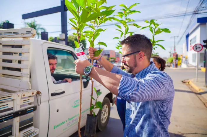 Luverdenses recebem mudas de árvores no Dia Mundial do Meio Ambiente