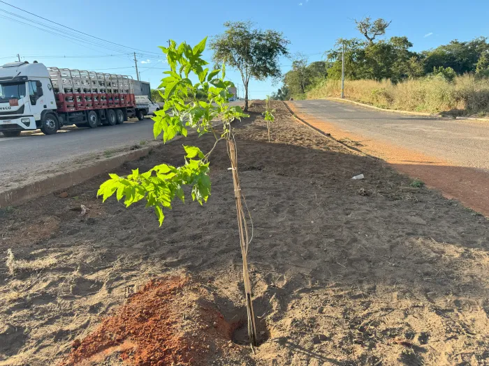 Crédito:Prefeitura de Barra do Garças - 
