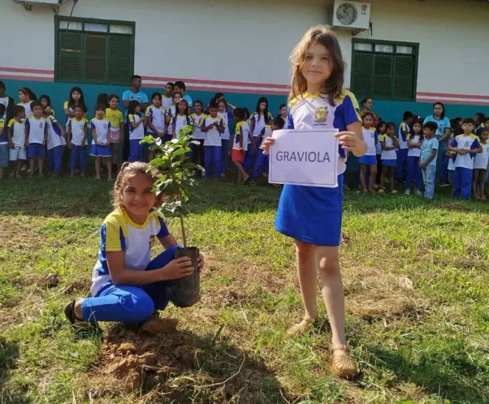 No âmbito da Rede de Governança Ambiental, municípios realizam atividades alusivas ao Mês do Meio Ambiente