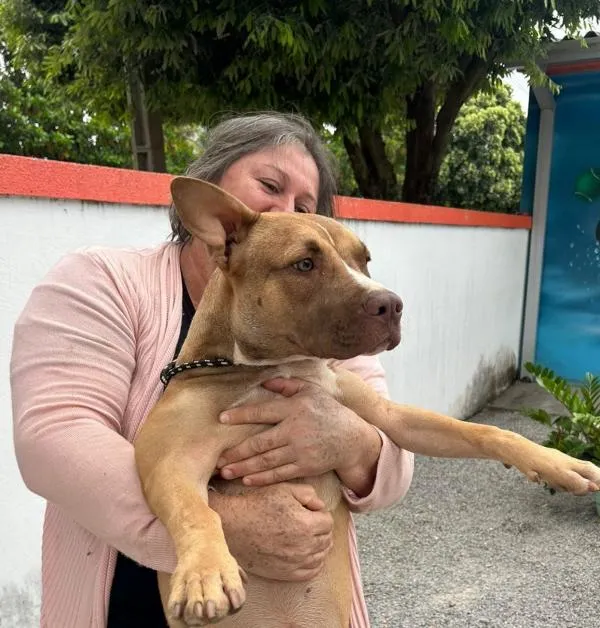 Foto: Reprodução/Prefeitura de Sorriso - MT