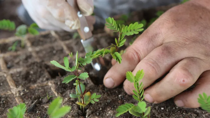 Alunos da capital, interior e litoral do estado têm desenvolvido projetos para preservação ambiental
