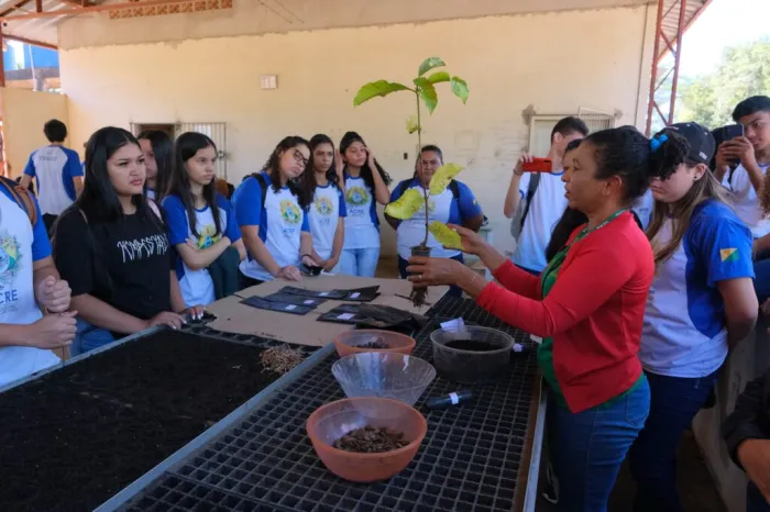 No Viveiro da Floresta, Sema apresenta Sistemas Agroflorestais a alunos do curso de Agronegócio do Ieptec