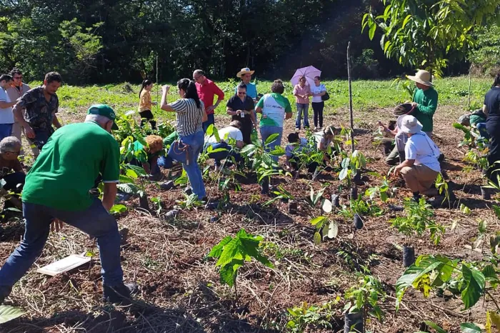 Refúgio de Vida Silvestre Metrópole da Amazônia recebe plantio de mil mudas