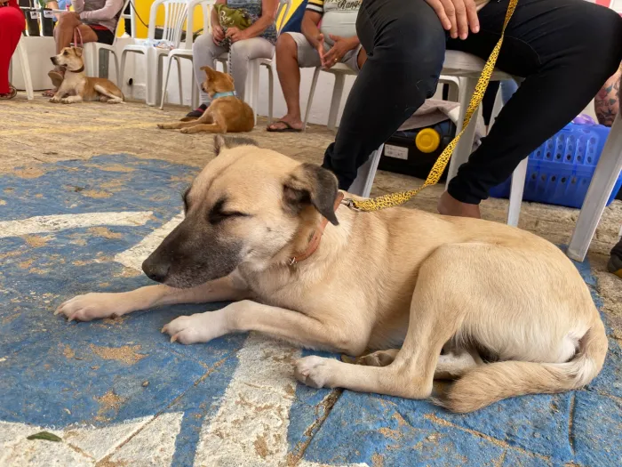 Foto: Reprodução/Secom Paraíba