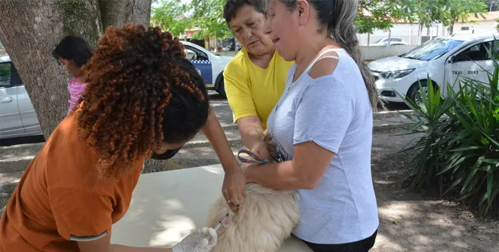 Dez bairros recebem vacinação antirrábica nesta semana