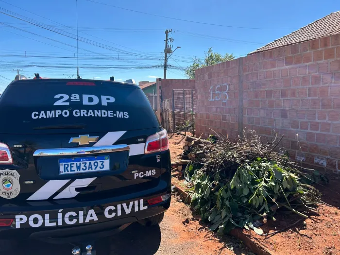 Polícia Civil, no âmbito da Operação Virtude, prende autor de maus-tratos contra idoso em Campo Grande