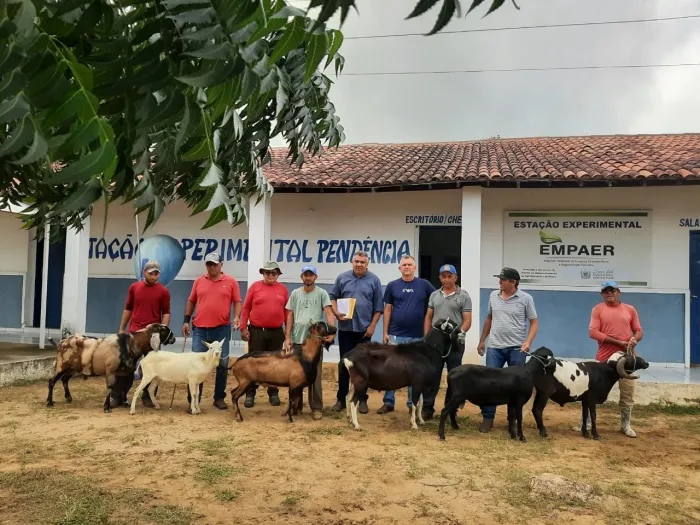 Governo repassa reprodutores de caprinos e ovinos para pequenos criadores organizados em associações do Cariri