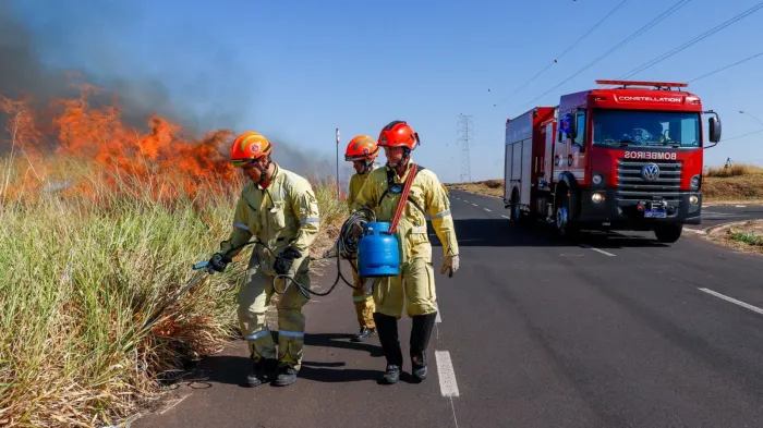 Zona de proteção da Floresta Estadual passa por queima controlada