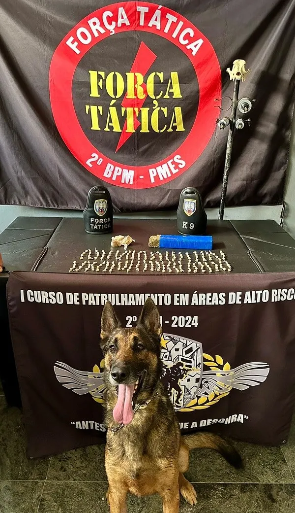 PM apreende drogas em Nova Venécia
