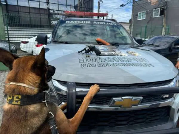 Com apoio de cão farejador, PMCE prende suspeita de tráfico de drogas e apreende uma arma em Maracanaú