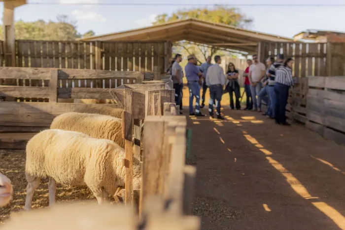 UEPG planeja melhorias na produção animal da Fazenda Escola