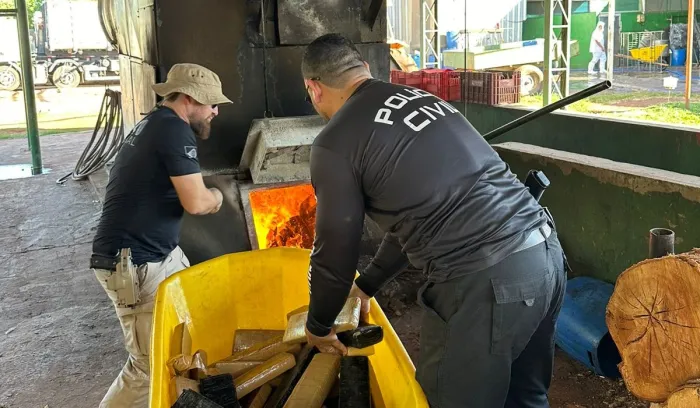 Polícia Civil incinera 585 kg de drogas apreendidas em Dois Irmãos Do Buriti