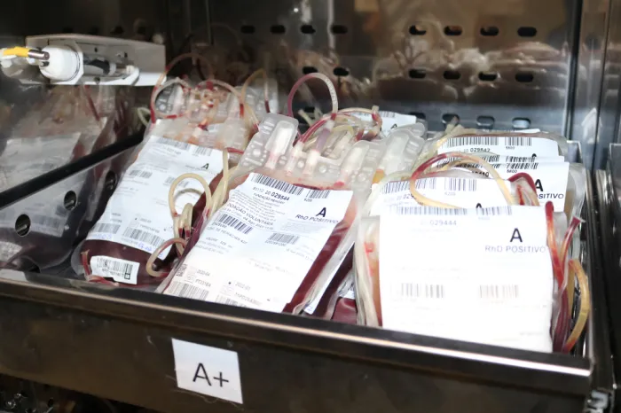 Dia Mundial do Doador de Sangue: FCecon alerta sobre importância da doação de sangue