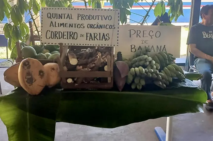 Crédito: Divulgação