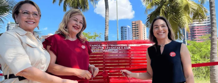 Foto: Reprodução/Secom Piauí