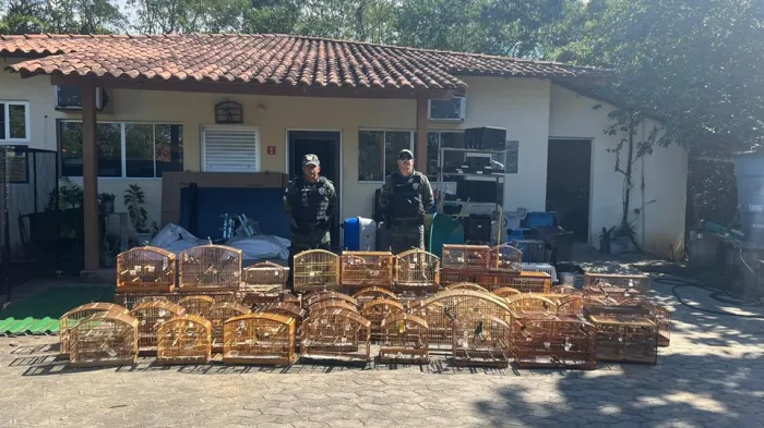 POLÍCIA AMBIENTAL RESGATA 64 AVES DO CATIVEIRO ILEGAL