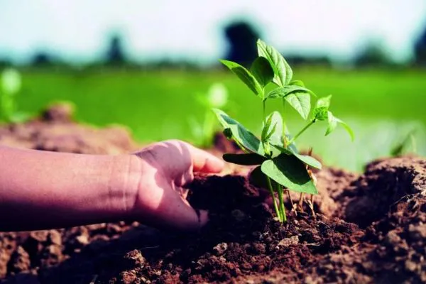 Presidente do Legislativo quer a criação do Programa Escola Amiga do Agro