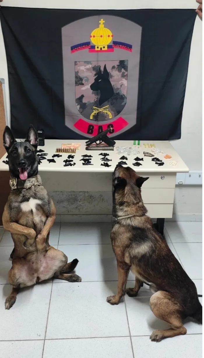 Batalhão de Ações com Cães apreende arma de fogo em Vitória
