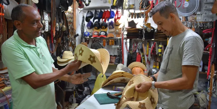 Produtos confeccionados em palha ganham destaque na Galeria do Artesão