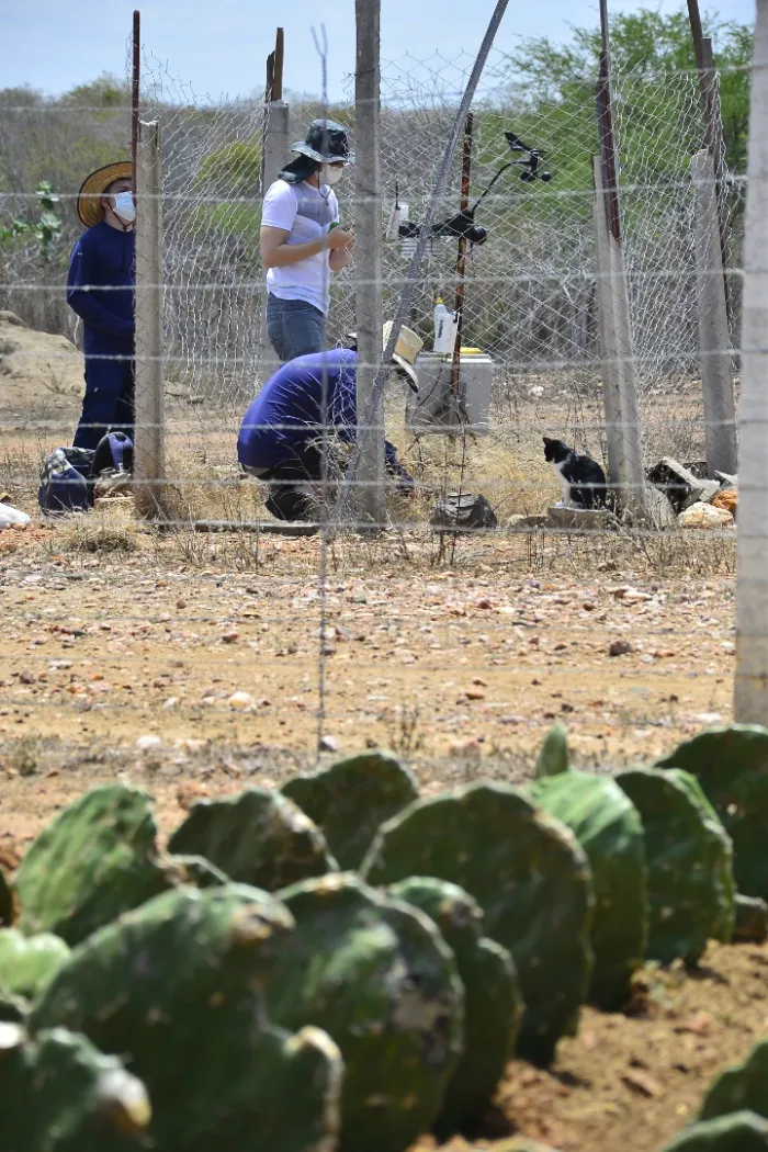 Foto: Reprodução/Secom Paraíba