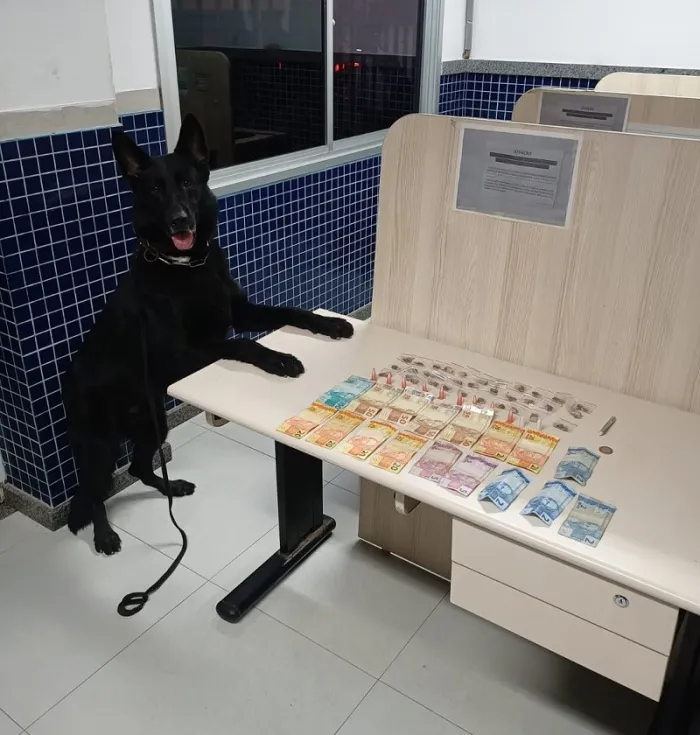 Foto: Reprodução/Polícia Militar - ES