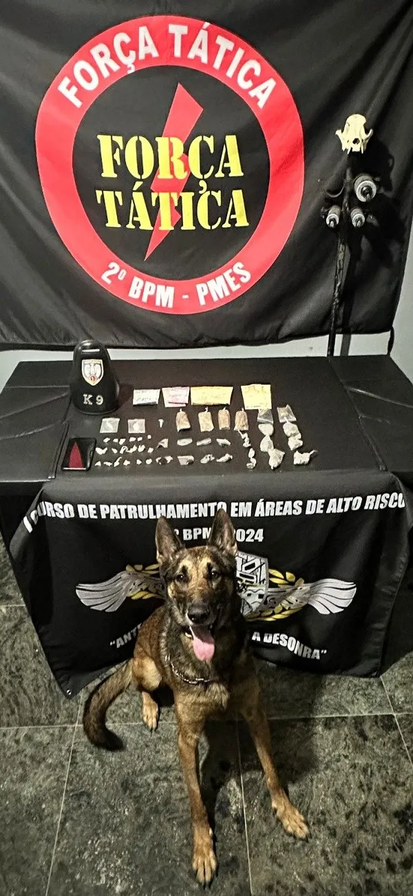 Foto: Reprodução/Polícia Militar - ES