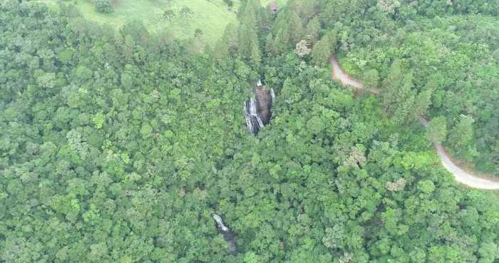 Reserva Biológica Estadual da Canela Preta completa 44 anos no Vale do Itajaí