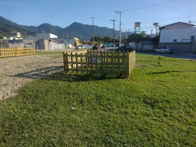 SEMAM identifica novos filhotes de coruja-buraqueira no Canto do Mar