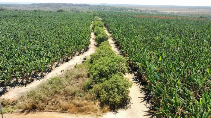 Foto: Reprodução/Secom Piauí