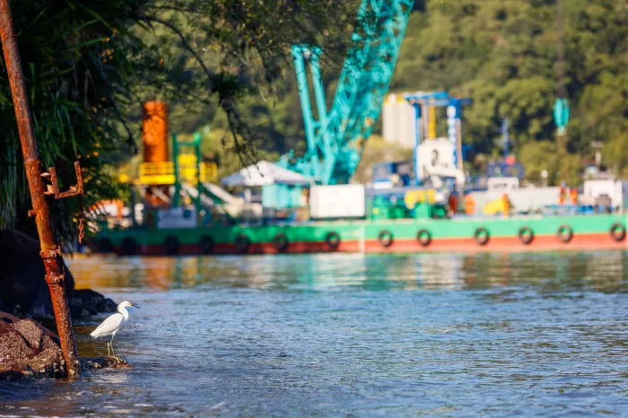 Equilíbrio ambiental: obra da Ponte de Guaratuba monitora aves e peixes a cada três meses
