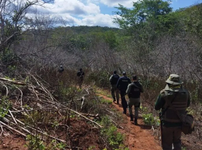 Secretaria de Meio Ambiente realiza mais uma etapa da Operação Cerrado Vivo no Sul do Piauí