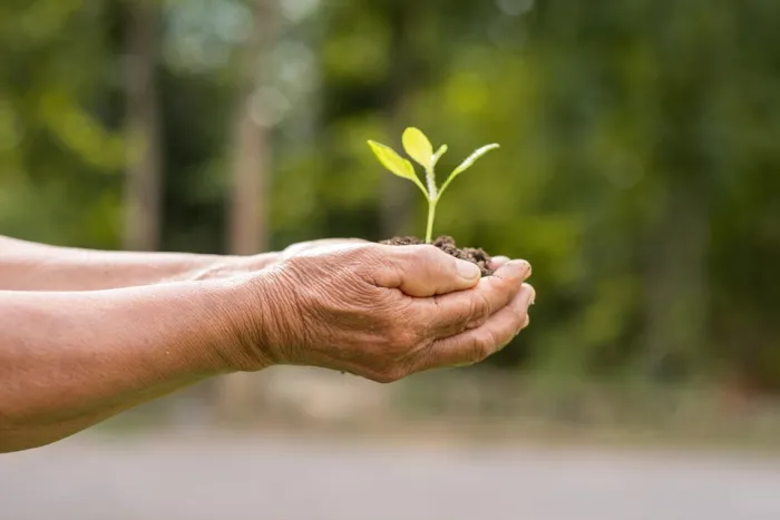 Governo do Estado promove Sustentabilidade Brasil, a maior conferência nacional sobre sustentabilidade e ESG