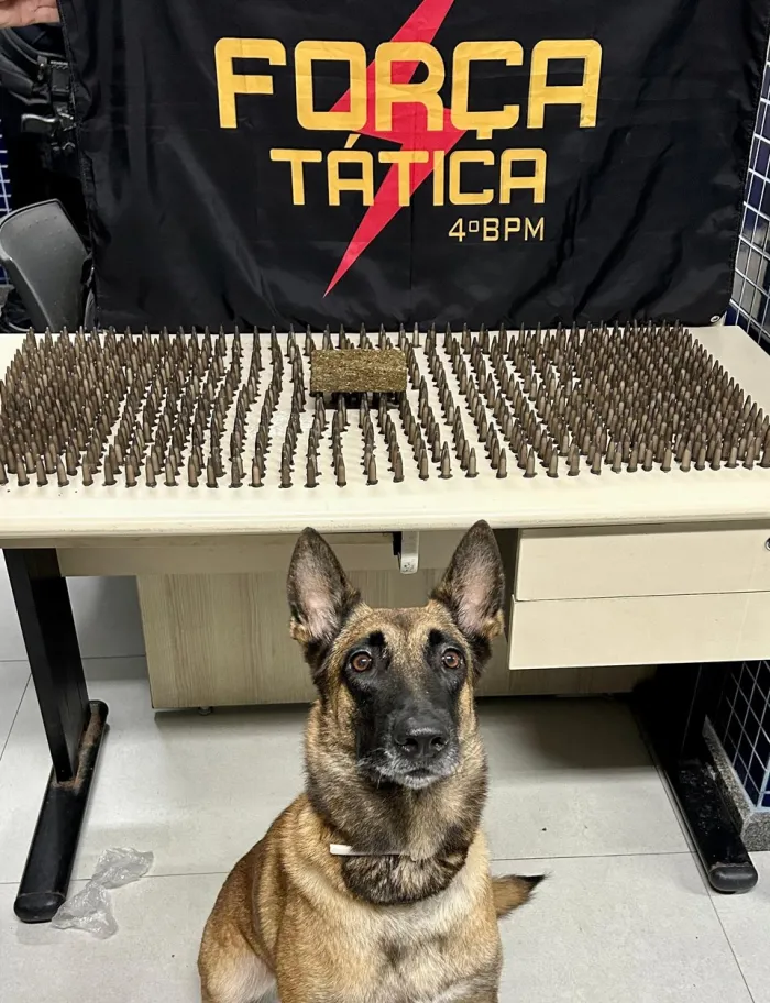 Foto: Reprodução/Polícia Militar - ES