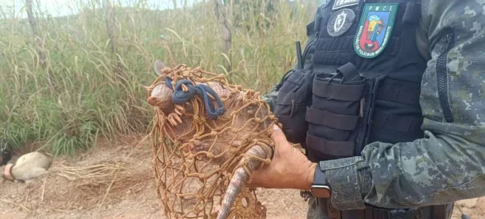 Homem é detido pela PMCE suspeito de caça ilegal em Farias Brito