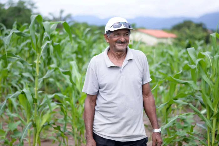 Hora de Plantar: do plantio à colheita, agricultores celebram a fartura da boa safra