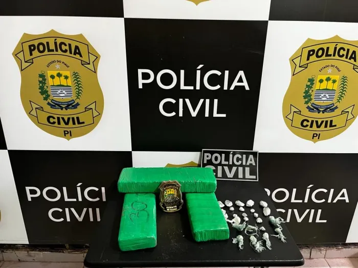 Polícia Civil do Piauí já apreendeu mais de 10 mil quilos de drogas em 2024
