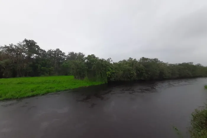 Estação Ecológica Rio das Pombas: Paraná ganha a 73ª Unidade de Conservação