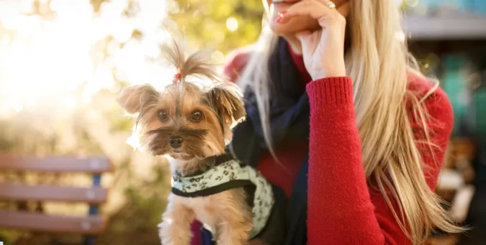 Cidades de São Paulo oferecem turismo para pets